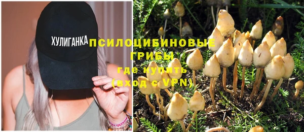 не бодяженный Надым