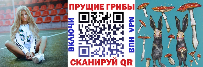 где найти наркотики  Воткинск  Галлюциногенные грибы GOLDEN TEACHER 