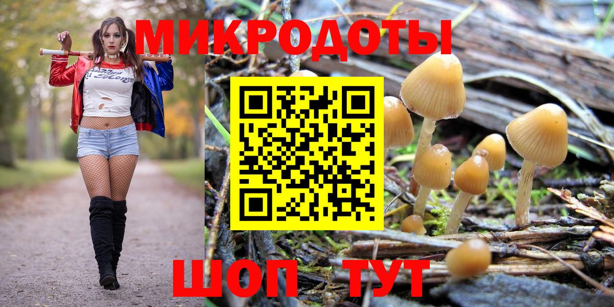 Галлюциногенные грибы Psilocybine cubensis Воткинск